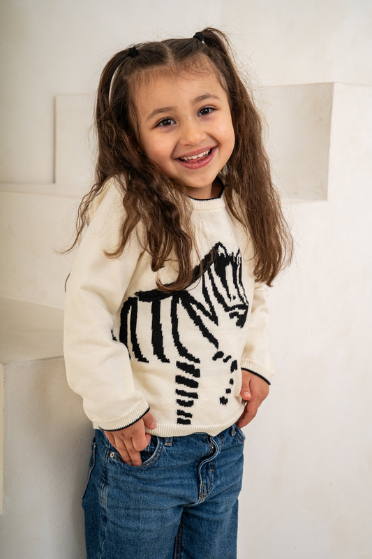 Lucky Zebra Jumper