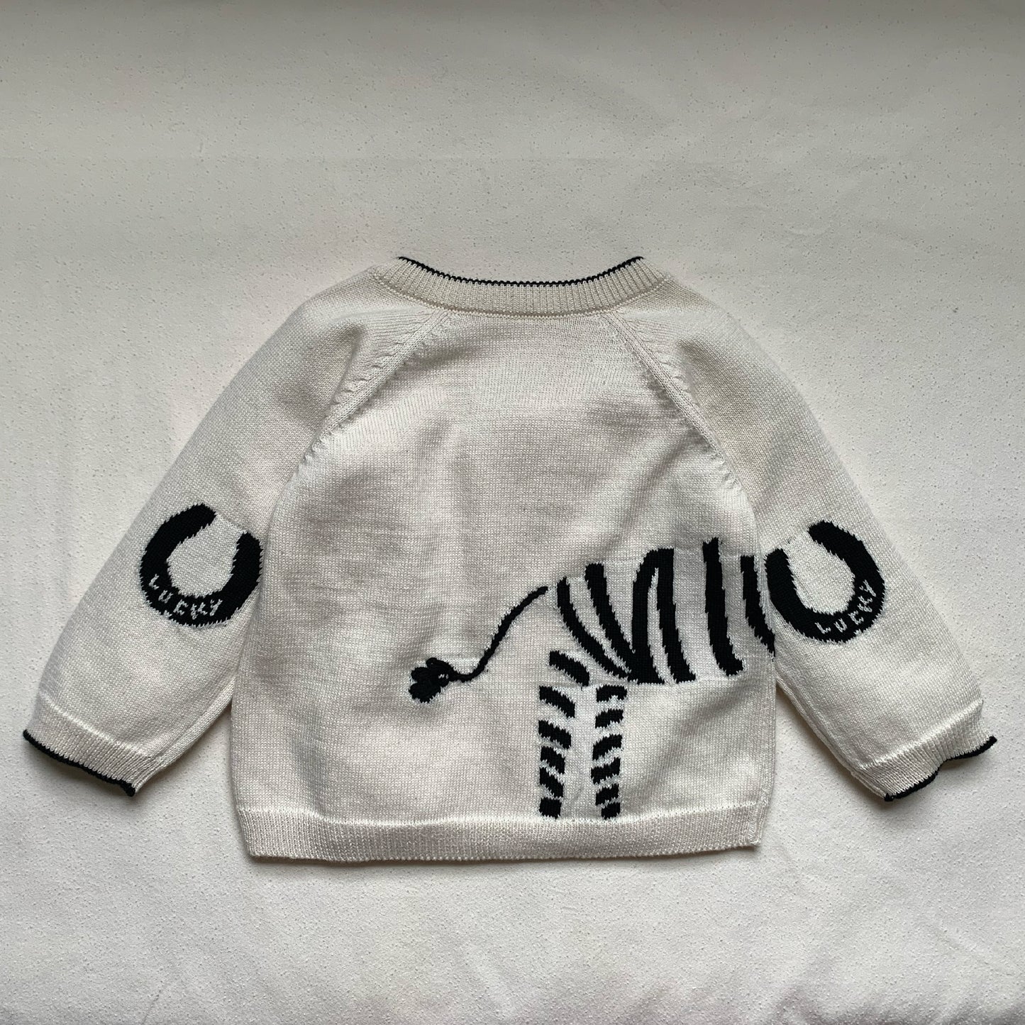 Lucky Zebra Jumper