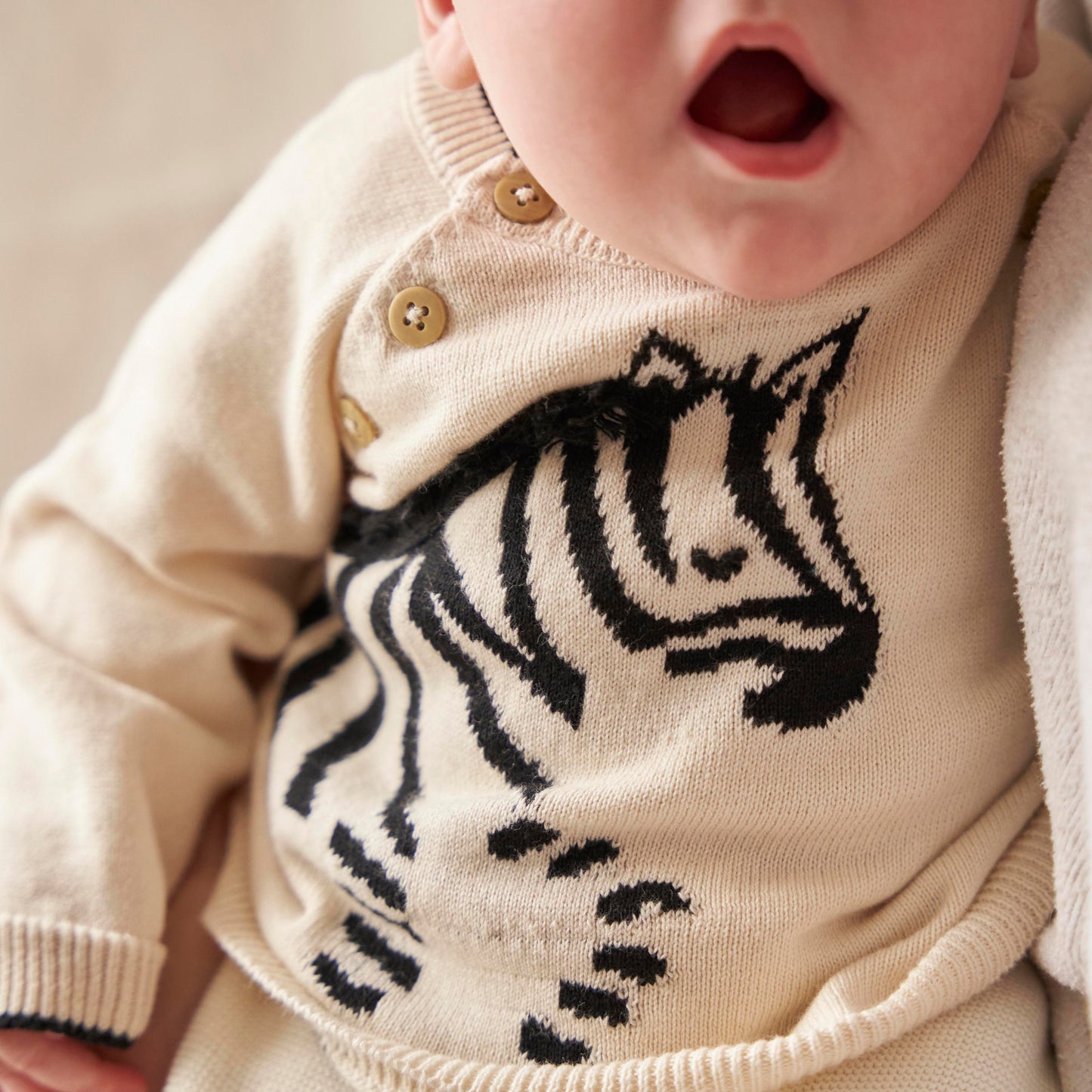 Lucky Zebra Jumper