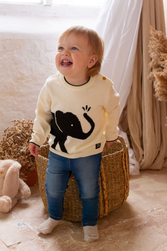 Elephant Jumper