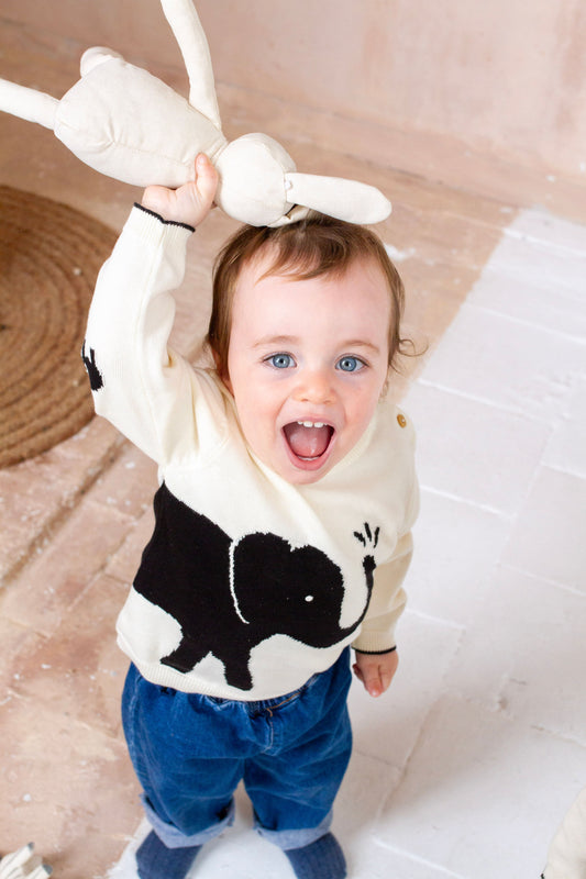 Elephant Jumper