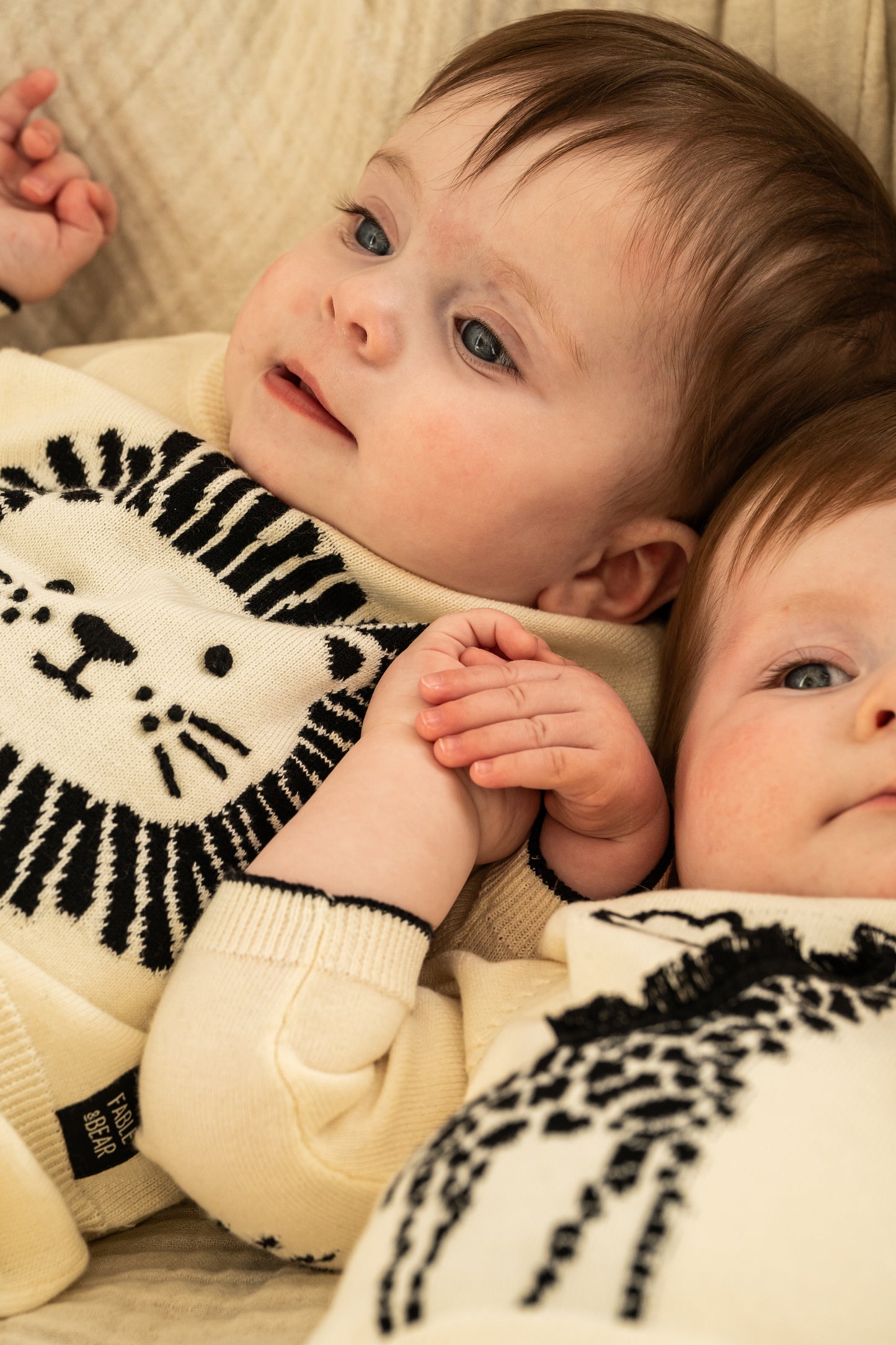 Lion Jumper