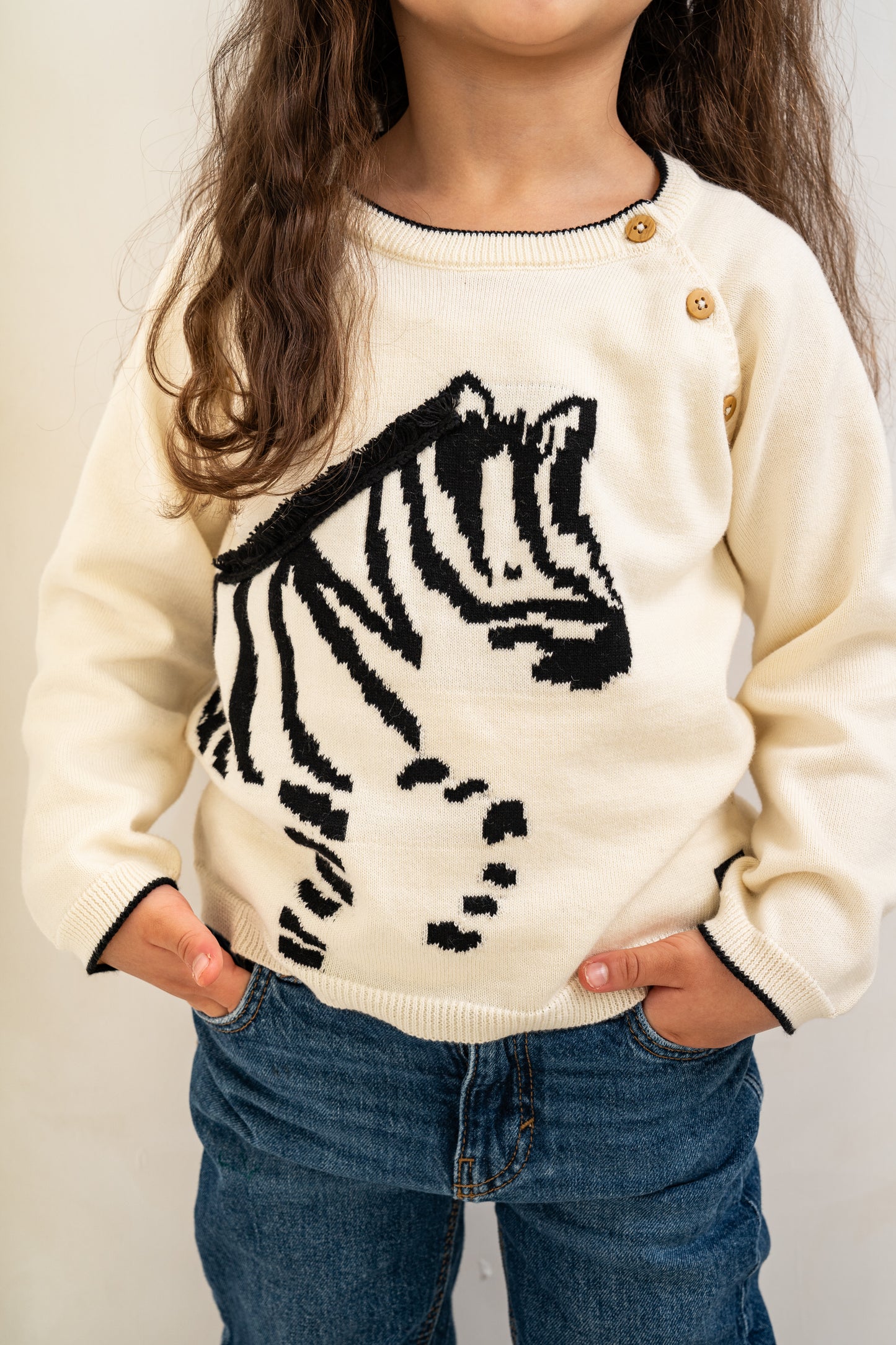 Lucky Zebra Jumper