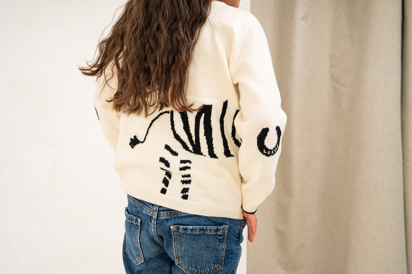 Lucky Zebra Jumper