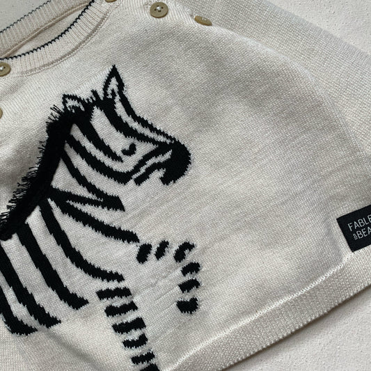Lucky Zebra Jumper